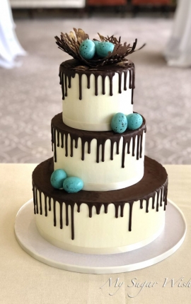 robin egg, robin blue, chocolate nest, bird nest, baby shower, cake, chocolate drizzle, 3 tier cake